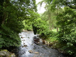 Ireland_trip_2007_ew329_06_22_07